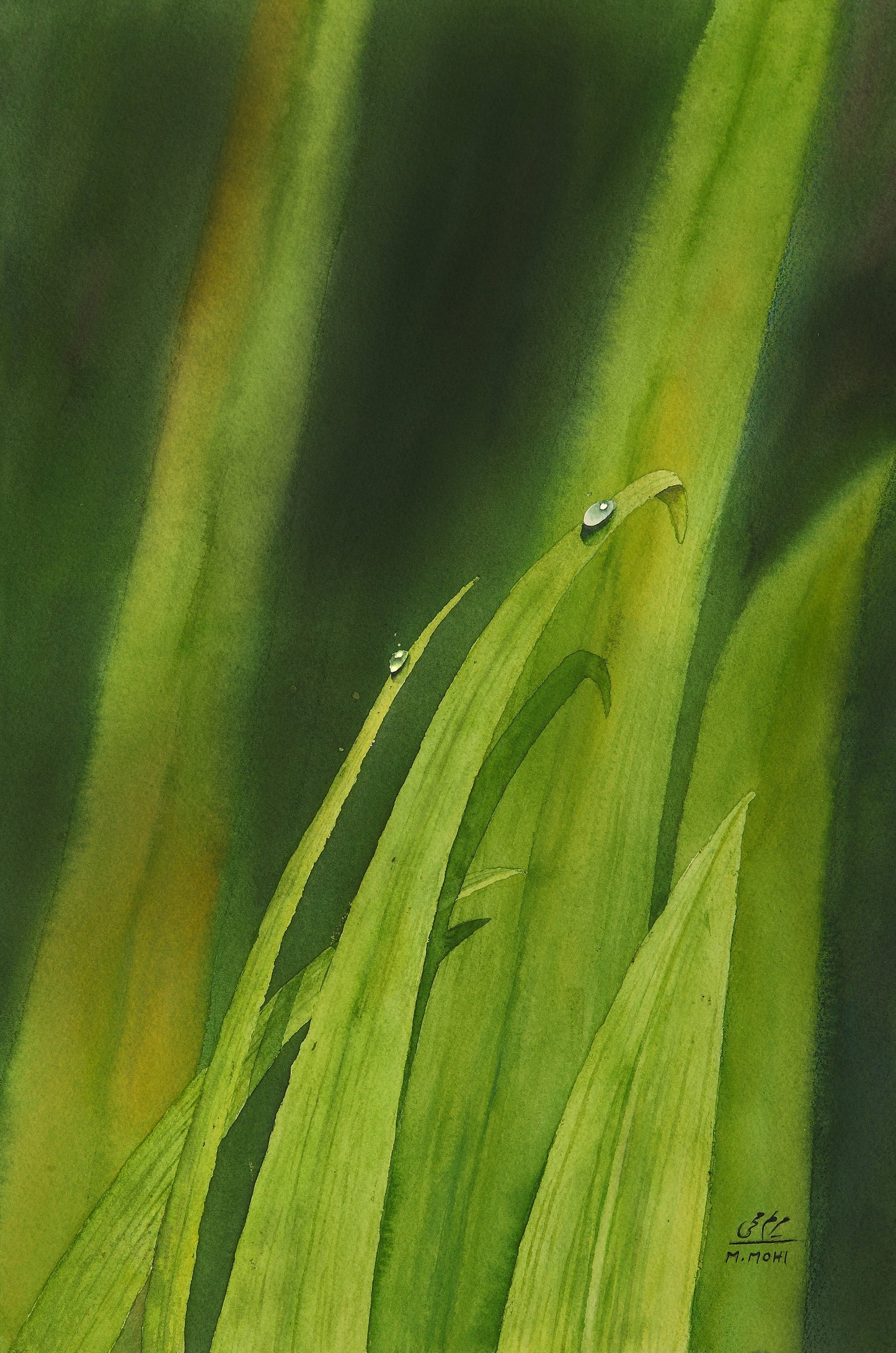 Print - Dew Kissed Leaves - Print on Arches Paper