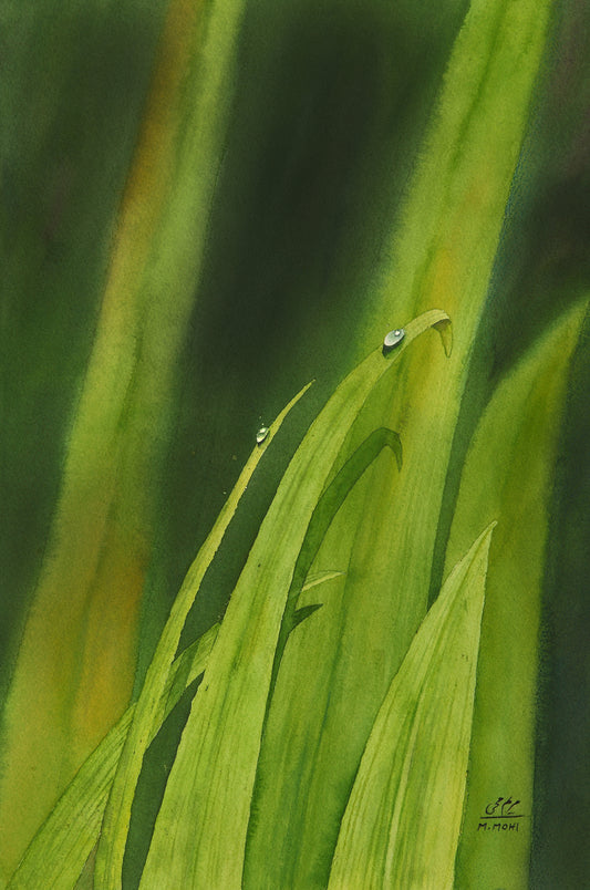 A watercolor painting featuring lush green leaves, with one leaf adorned by a delicate dew drop — a unique, vibrant piece that beautifully captures nature’s freshness and charm. Perfect for nature lovers and art enthusiasts alike.
