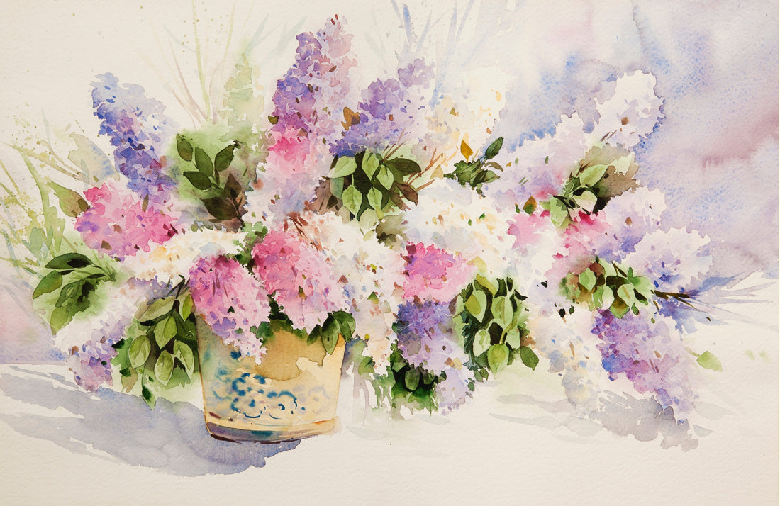 Recommended watercolor paint sets and tools