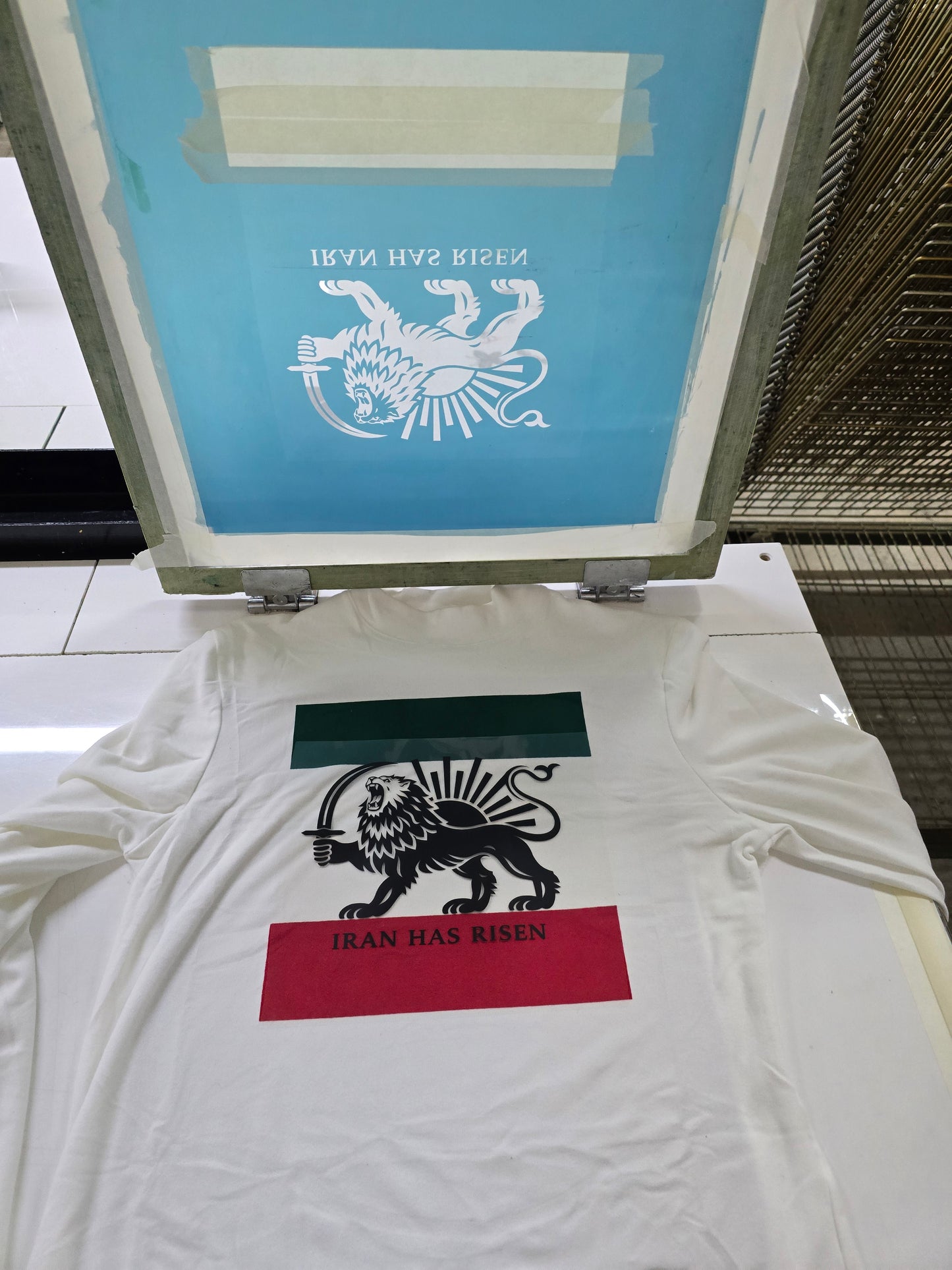 IRAN protests, Iran movement, Support People. of Iran Lion and Sun flag tee Long Sleeve Shirt | Persian Lion emblem, green white red stripes