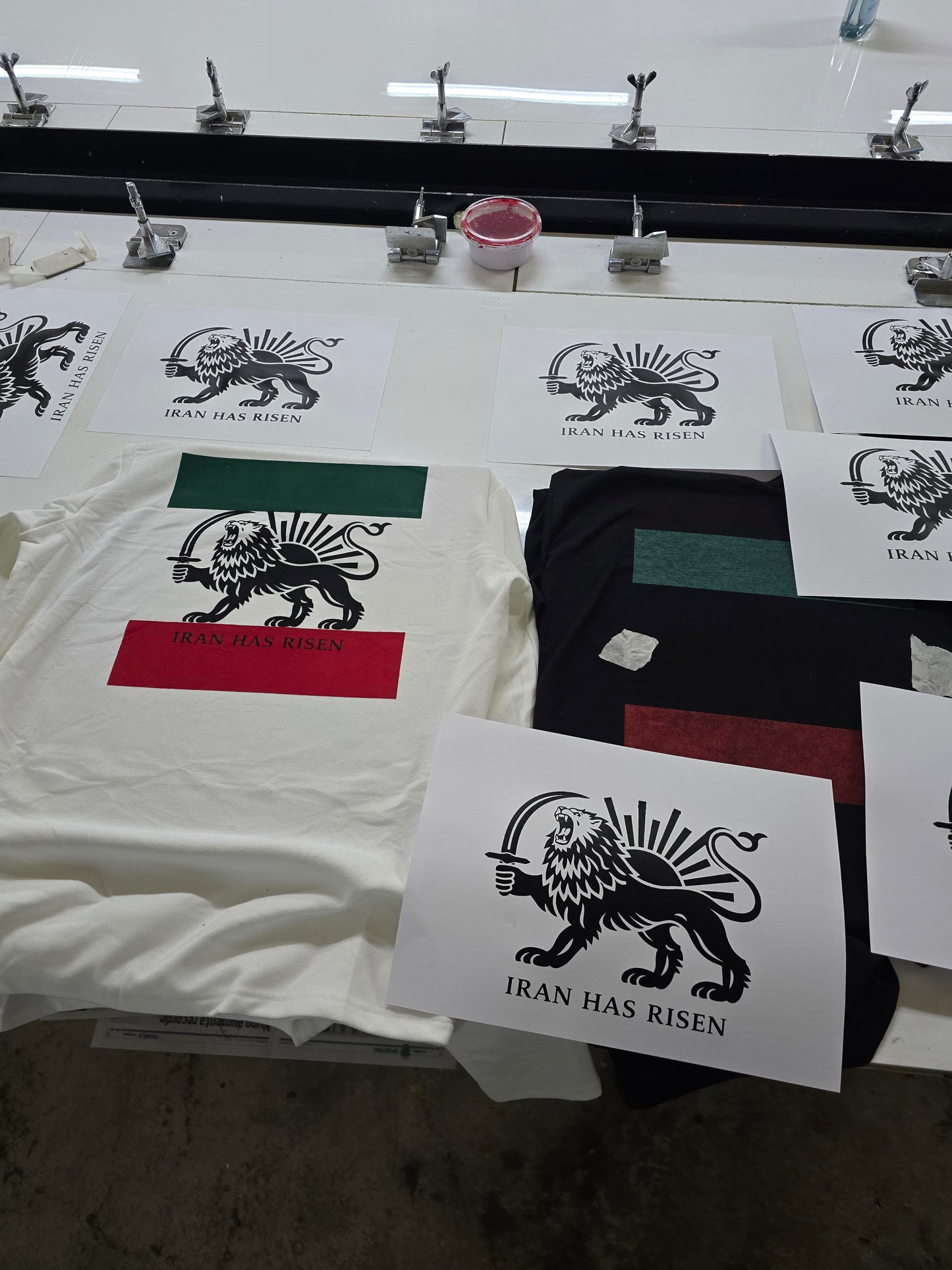 IRAN protests, Iran movement, Support People. of Iran Lion and Sun flag tee Long Sleeve Shirt | Persian Lion emblem, green white red stripes