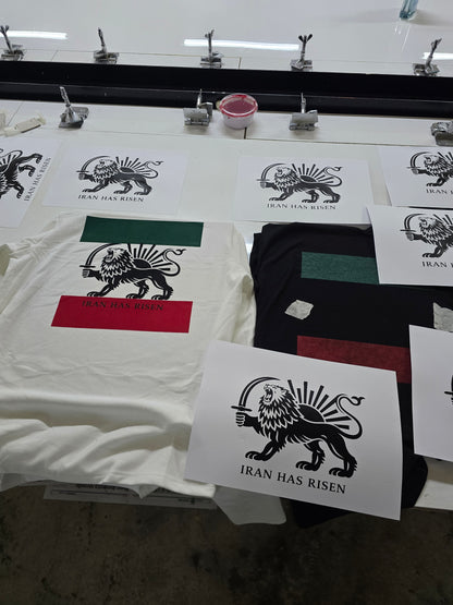 IRAN protests, Iran movement, Support People. of Iran Lion and Sun flag tee Long Sleeve Shirt | Persian Lion emblem, green white red stripes