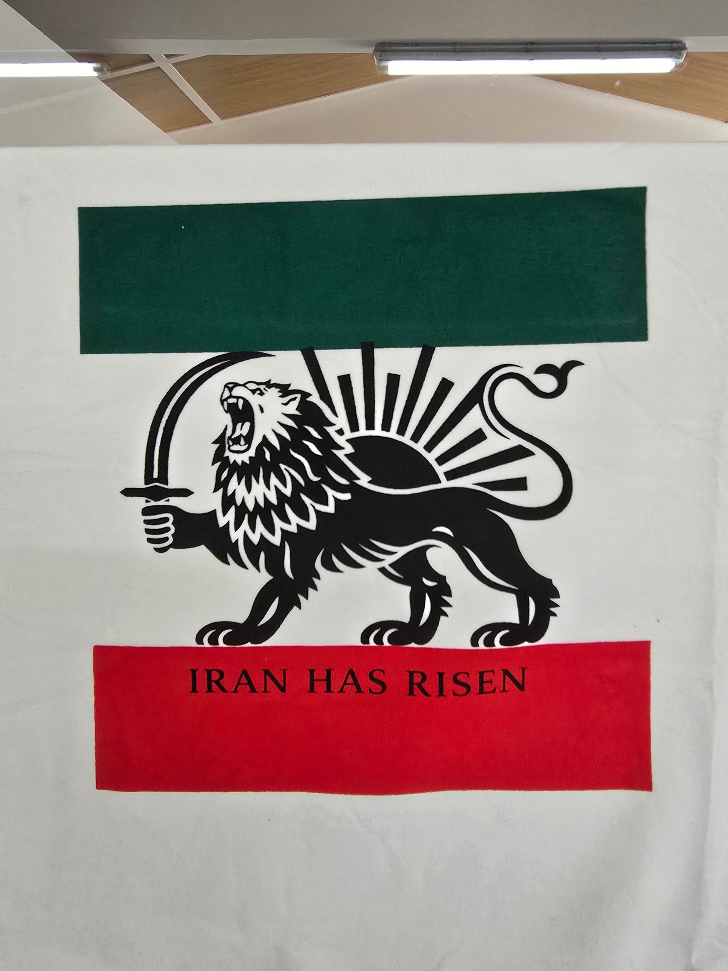 IRAN protests, Iran movement, Support People. of Iran Lion and Sun flag tee Long Sleeve Shirt | Persian Lion emblem, green white red stripes