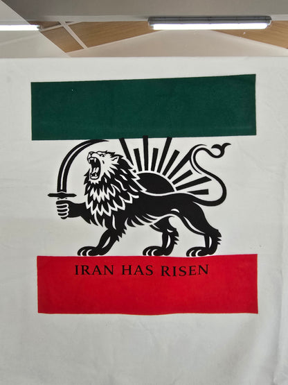 IRAN protests, Iran movement, Support People. of Iran Lion and Sun flag tee Long Sleeve Shirt | Persian Lion emblem, green white red stripes